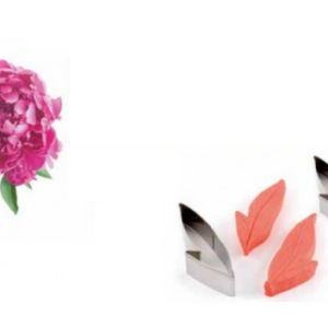 kit venatore foglia peonia -Pavoni